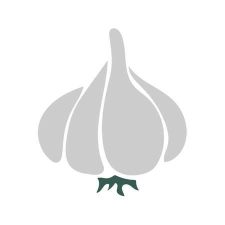 Vector illustration of simple and cute garlic on white. Hand drawn iconのイラスト素材