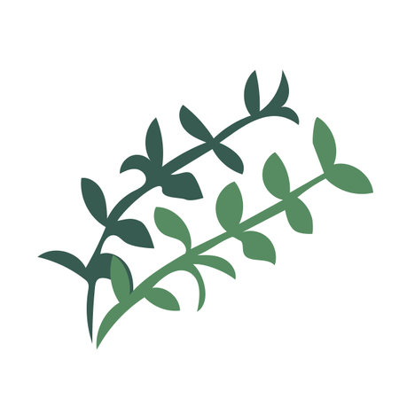 Thyme herb sprigs. Simple icon isolated on white background. Vector hand-drawn illustration.のイラスト素材