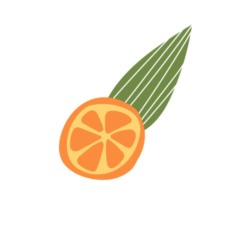 Orange fruit, slice and leaves. Doodle hand drawn vector illustration isolated on white background. Simple hand drawn iconのイラスト素材