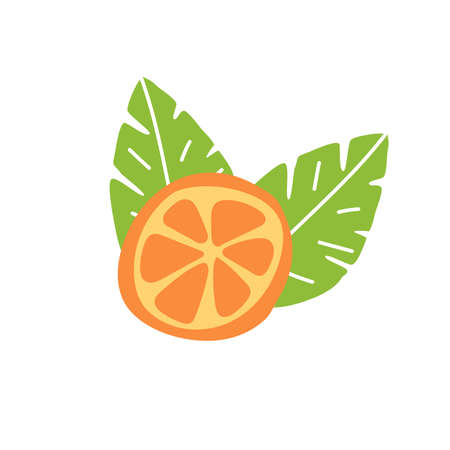 Orange fruit, slice and leaves. Doodle hand drawn vector illustration isolated on white background. Simple hand drawn iconのイラスト素材
