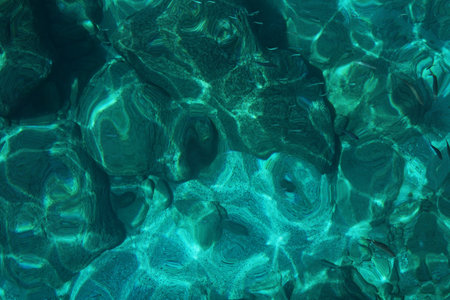 Small fish in clear clear water. Green-blue crystal clear water. Stones at the bottom of the sea.の写真素材