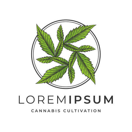 Hand Drawn Cannabis Cultivation Logo Vectorのイラスト素材