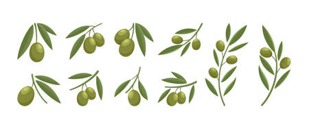 modern olive logo design setのイラスト素材
