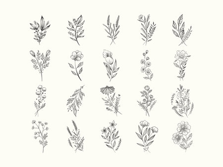 set of Hand drawn floral elements. botanical rustic natural for wedding card ornamentalのイラスト素材