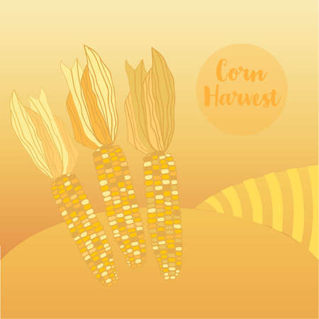 Corn harvest vector illustration agriculture a field on yellow backgroundのイラスト素材