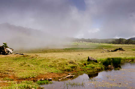 Wafts of mist are laying in the highlands of Madeira and generate a spooky atmosphereの写真素材