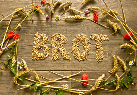 A picture layed with cereals in the shape of a collar for thanksgiving inside the word? Bread? (german language) designed.の写真素材