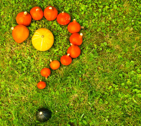 Many orange pumpkins laying in the grass, forming an interrogation markの写真素材