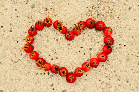 A heart as a word lying flat with fruits of dog roses in the sand of a beachの写真素材
