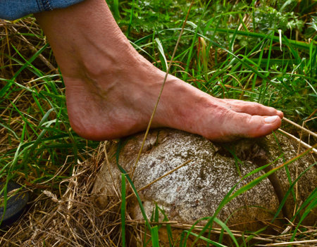 A single foot steps barefoot on a giant puffball, mushroom, a cloud of dust explodes into the...