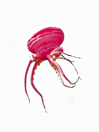A beautiful, colorful stunt kite, in the blue sky, high in the wind in the form of an octopus