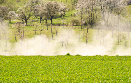 Raising dust from a car, that drove on an agriculture way in springtime with blooming cherry treesの写真素材