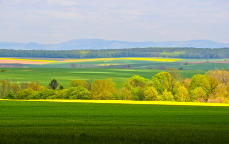 A beautiful german agriculture landscape with light and yellow rape fields