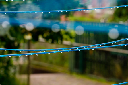 Blue clothing lines of a clothes spin with many raindrops at the string in front of a green...