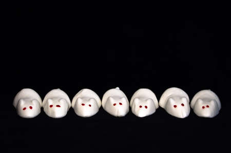 Sweet white mice from marschmallow, foamy sugar, flat layed in a line on black backgroundの写真素材
