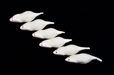 Sweet white mice from marschmallow, foamy sugar, flat layed in a line on black background