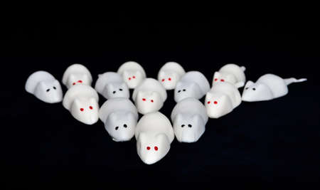 Front view of a formation of white mice with red eyes from marshmallow, running straight into the cameraの写真素材