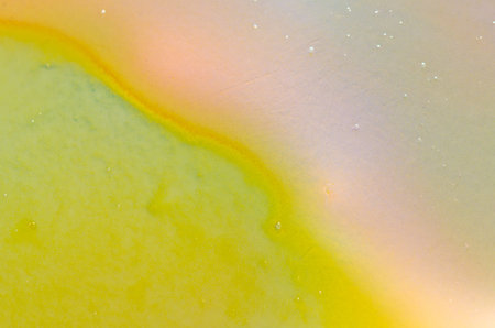 Liquid bright aquarel colors with oil generate fluid structures and bubbles in green, blue, yellow,...