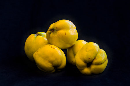 Yellow quince fruit on black background, close up, low keyの写真素材