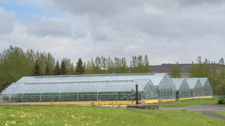 Greenhouses of a market gardenの写真素材