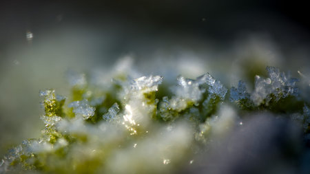 Macro detail of snow crystals on green grass. Natural background.