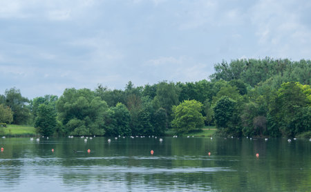 Lake in the park. Landscape with lake, trees and swans, GÃ¶ttingen, Germanyの写真素材