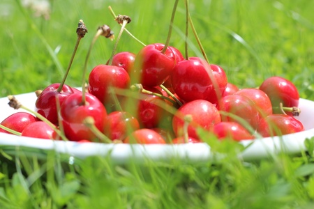 Cherriesの写真素材
