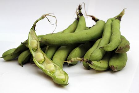 broad beanの写真素材