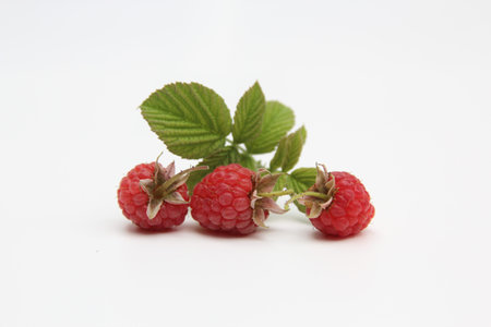 raspberry