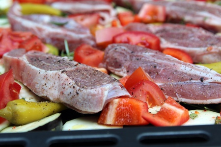 Lamb lambの写真素材