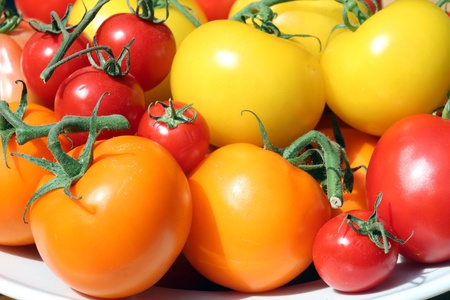 tomatoesの写真素材