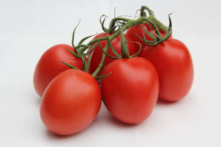 tomatoesの写真素材
