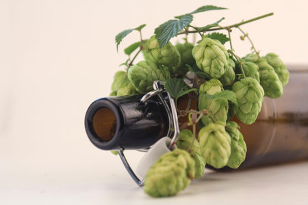 hop