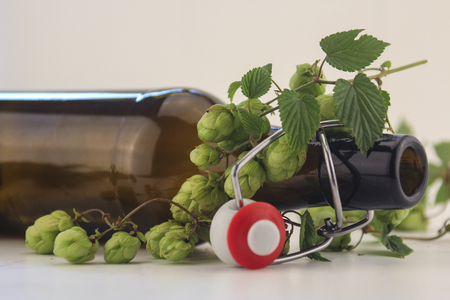 hopの写真素材