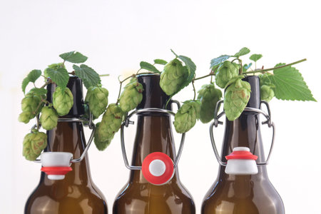 hop