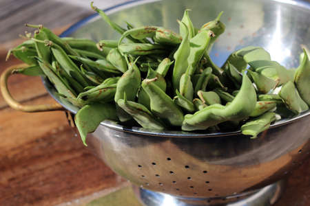 beansの写真素材