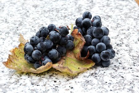 red wineの写真素材