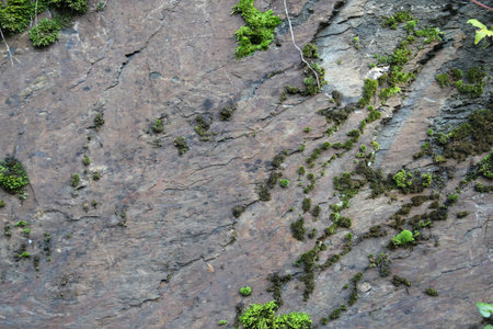 natural stone