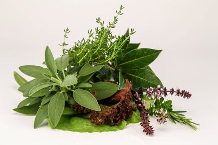 Herbsの写真素材