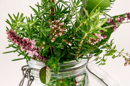 Herbsの写真素材