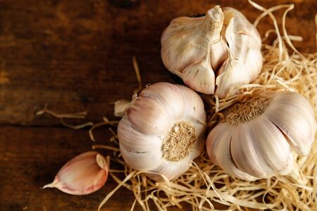 garlicの写真素材
