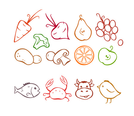 Vegetables, fruits and meatのイラスト素材