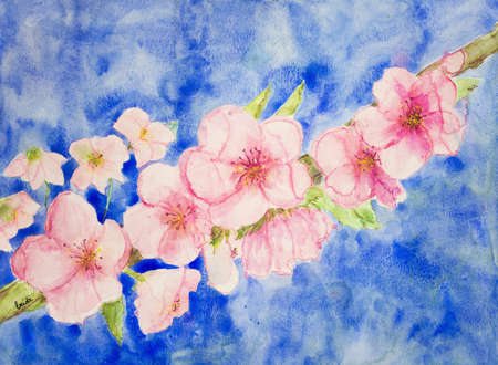 Branch of cherry blossoms against a blue sky. The dabbing technique gives a soft focus effect due to the altered surface roughness of the paper.の写真素材