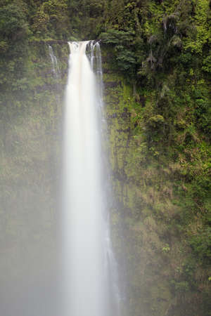 Silky Akaka Falls with lush vegetation around it. Due to the long exposure, some parts of the vegetation are blurredの写真素材