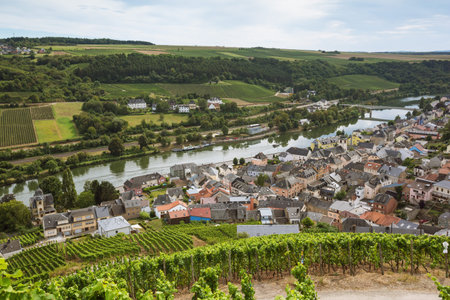 Plunging view over Wormeldange in the Moselle Valley