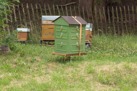 Four beehives put together at the Citadel of Namur