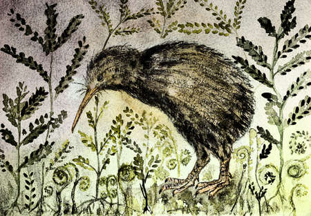 Rustic painting of a kiwi bird in the night with background of varen and leaves. The dabbing technique near the edges gives a soft focus effect due to the altered surface roughness of the paper.の写真素材