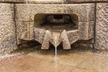 The Moselle emerging from the underground at its source on the Col de Bussangの写真素材