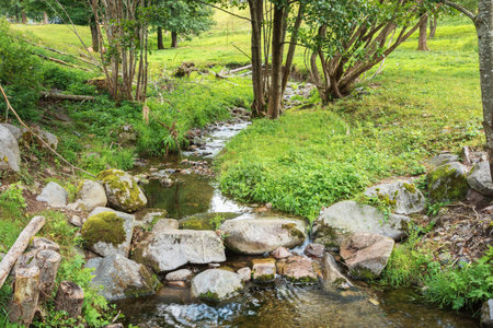 The Moselle flowing peacefully through pastures near its source on the Col de Bussang