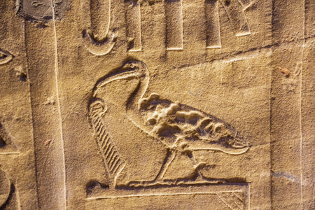 An ibis in an hieroglyph in the temple of Horus in Edfu